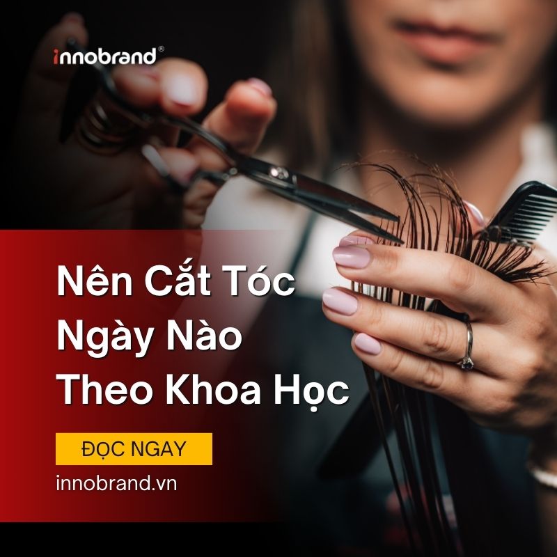 Nên Cắt Tóc Ngày Nào Theo Khoa Học