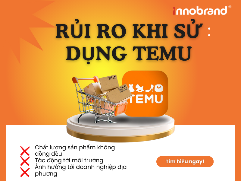 Các rủi ro tiềm ẩn khi sử dụng Temu