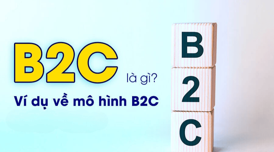 Ví dụ về doanh nghiệp kinh doanh theo mô hình B2C